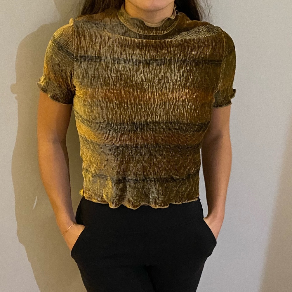 Zara Velvet High Neckline Top